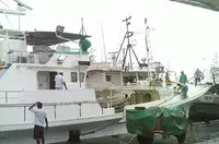 Longliner 판매용