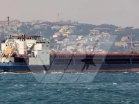 General Cargo/Multi-purpose 판매 중
