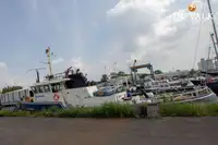 정찰 보트 판매 중