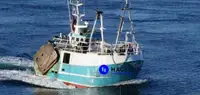 Beam trawler 판매용