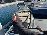 정찰 보트 판매 중