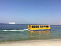 수륙 양용 판매용