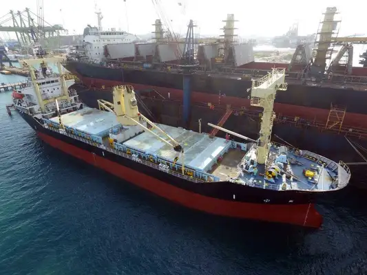 Bulk carrier for sale