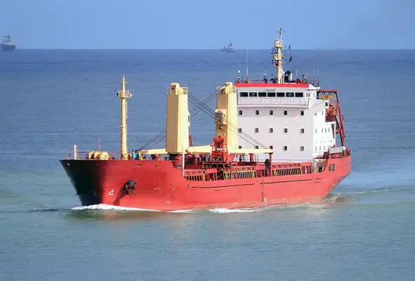 Bulk carrier for sale