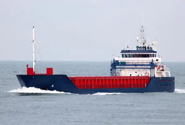 Bulk carrier for sale
