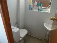 모터 선박 판매용