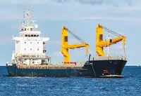 벌크 선 판매용