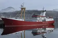 벌크 선 판매용