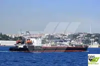 벌크 선 판매용