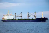 벌크 선 판매용