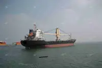 벌크 선 판매용