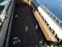 벌크 선 판매용