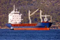 벌크 선 판매용