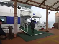 뗏목 판매용