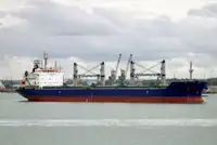 벌크 선 판매용