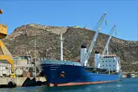 벌크 선 판매용