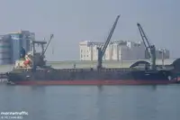 벌크 선 판매용