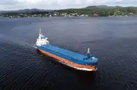 벌크 선 판매용