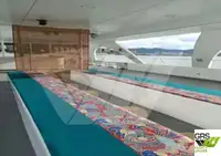 모터 선박 판매용