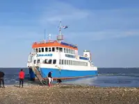 모터 선박 판매용